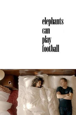 Elefanten können Fußball spielen (2018)
