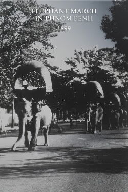 Elephant March in Phnom Penh (1899)