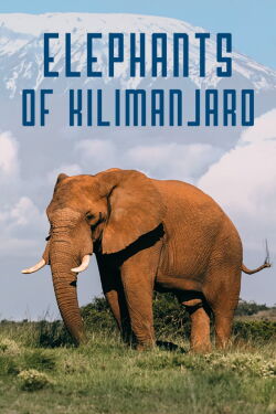 Elephants of Kilimanjaro (2022)