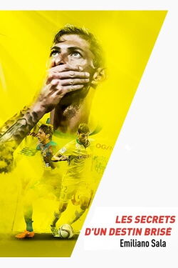 Emiliano Sala, les secrets d'un destin brisé (2019)