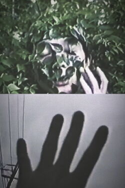 Emotional Gel Scenery (1993)