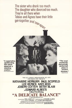 Empfindliches Gleichgewicht (1973)