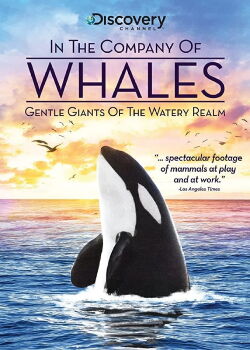 En compañía de ballenas (1992)