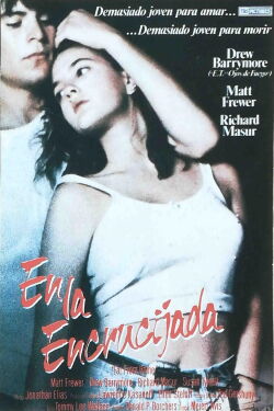 En la encrucijada (1989)