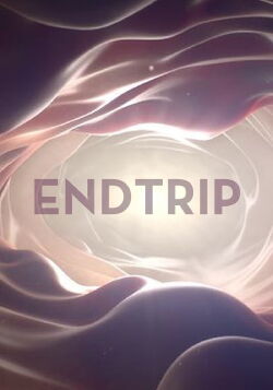 Endtrip (2013)