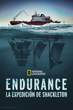 Endurance (2024)