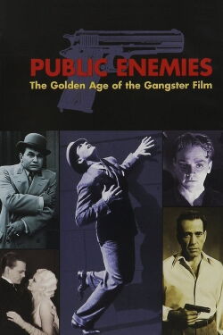 Enemigos públicos. La edad dorada del cine de gangsters (2008)
