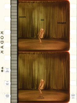 Entre les Images (2020)