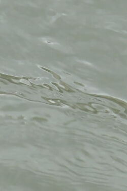 entre les vagues (un hommage) (2023)