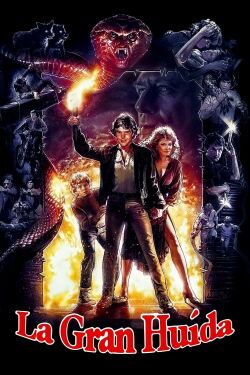 Escape de un sueño (1984)