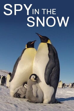Espía en la nieve (2018)