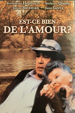 Est-ce bien de l'amour ? (1994)