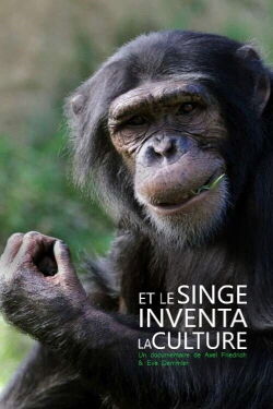 Et le singe inventa la culture (2014)