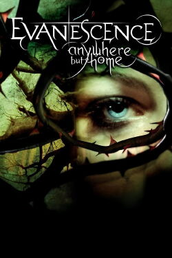 Evanescence: Anywhere But Home (2004)