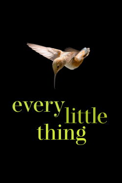 Every Little Thing (2025)