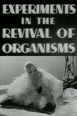 Experimentos en la reavivación de organismos (1940)