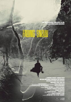 Fading Snow (2020)