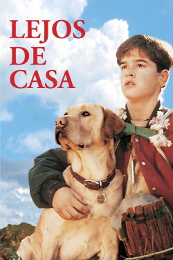 Far from Home: The Adventures of Yellow Dog (1995)