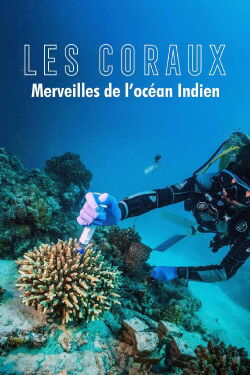 Fascinants coraux : merveilles de l'océan Indien (2023)
