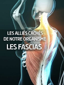 Fascinants fascias - Un monde mystérieux sous la peau (2018)