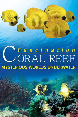 Fascination Coral Reef Mondes Mystérieux Sous-Marin (2012)