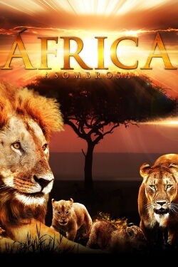 Faszination Afrika (2012)