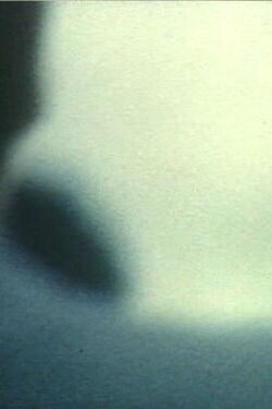 Feeling of Night (2007)