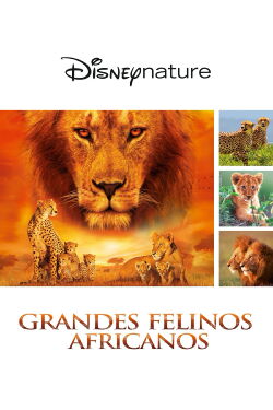 Felinos de África (2011)