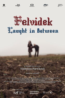 Felvidek – Caught in Between (2014)