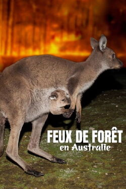 Feux de forêt en Australie - Au secours de la faune sauvage (2020)