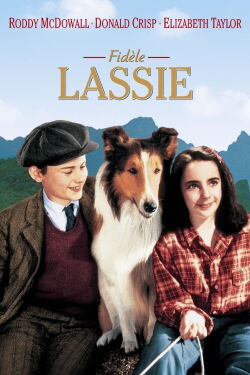 Fidèle Lassie (1943)