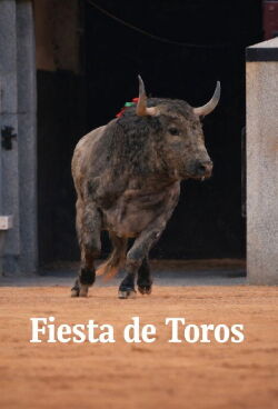 Fiesta de toros (1909)