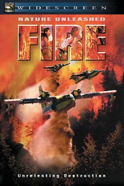 Fire: Atrapados por la muerte (2004)