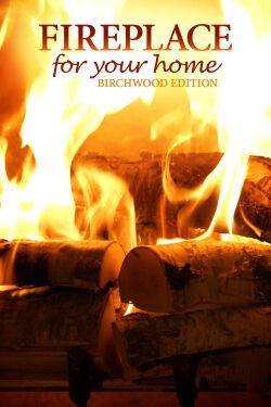 Fireplace for Your Home: Birchwood Edition (2015)