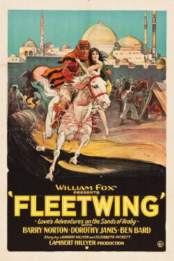 Fleetwing (1928)
