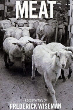 Fleisch (1976)