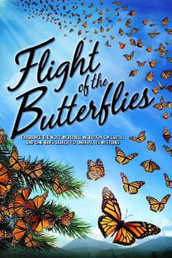 Flight of the Butterflies (2012)