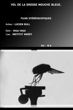 Flight of the Large Blue Fly (1905)