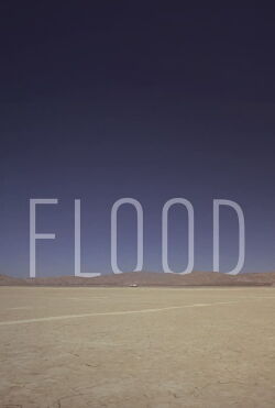 Flood (2012)