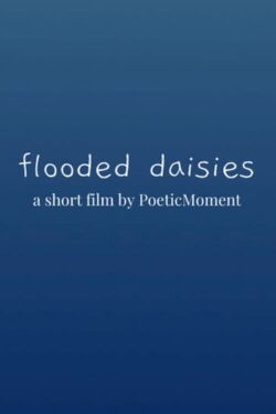 flooded daisies (2022)