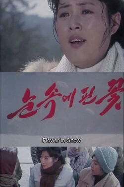 Flower in Snow (2011)