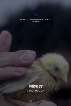 Fly, Bird (2014)