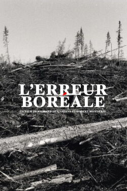 Forest Alert (1999)