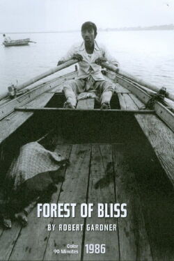 Forest of Bliss (1986)