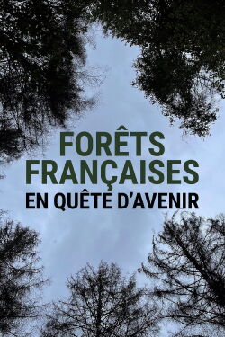 Forêts françaises en quête d'avenir (2022)