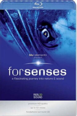 Forsenses - A Fascinating Journey into Nature & Sound (2009)