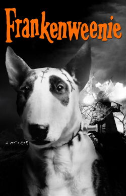 Frankenweenie (1984)