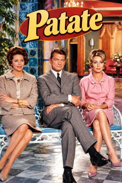 Friends of the family (1964)
