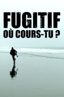 Fugitif, où cours-tu ? (2018)