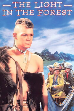 Fulgor en la espesura (1958)